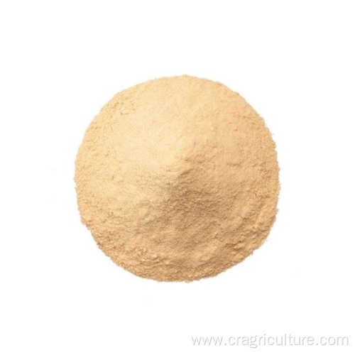 Roasted Garlic Powder High Quality Price